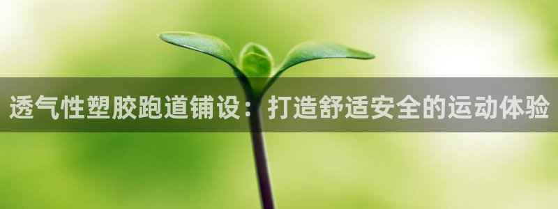 红足1世1站：透气性塑胶跑道铺设：打造舒适安全的运动体验