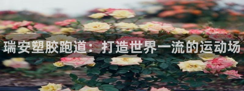 红足1世足球比分网址：瑞安塑胶跑道：打造世界一流的运动场