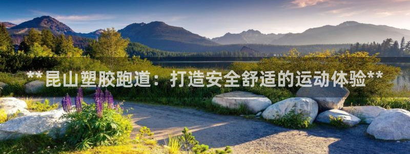 红足1世手足球比分