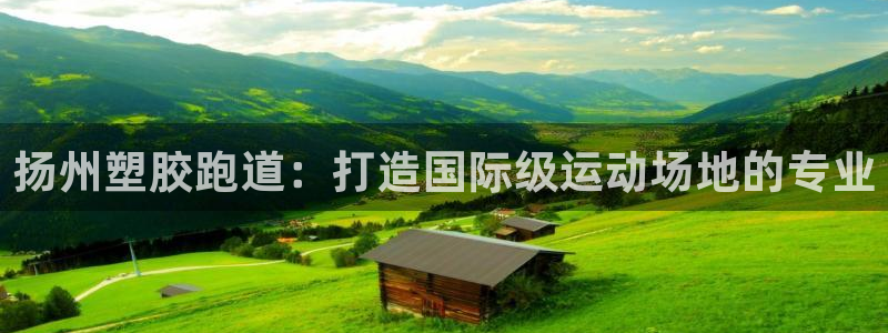 百度红足一1是什么样子的：扬州塑胶跑道：打造国际级运动场地的专业