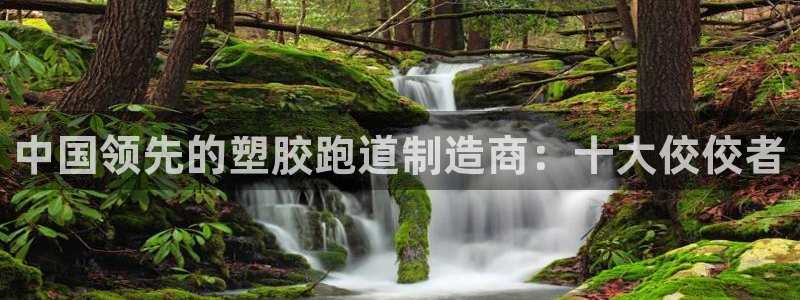 777814红·足一世：中国领先的塑胶跑道制造商：十大佼佼者