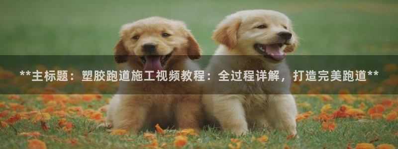 红足一丰