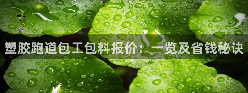 红足体育网