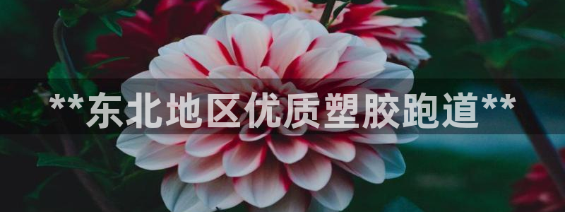 66814红足一66814世：**东北地区优质塑胶跑道**