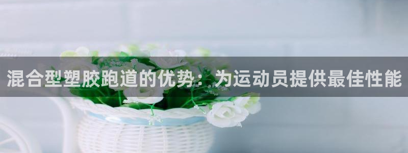 百度红足一1是干什么的