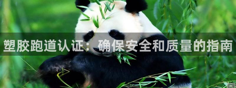 红足1世足球