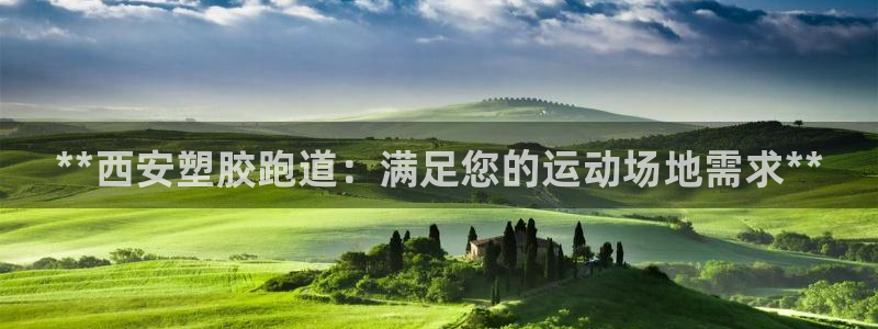红足1一世红：**西安塑胶跑道：满足您的运动场地需求**