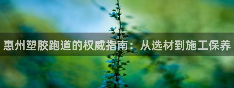 红足一1世官网：惠州塑胶跑道的权威指南：从选材到施工保养