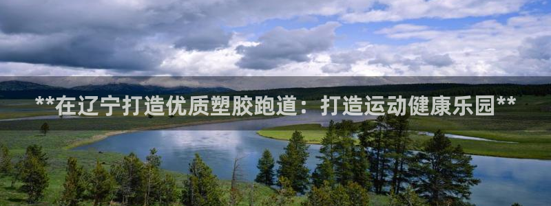 77814红足1世：**在辽宁打造优质塑胶跑道：打造运动健康乐园**