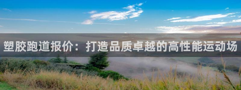 红足1世1站2站管理网：塑胶跑道报价：打造品质卓越的高性能运动场