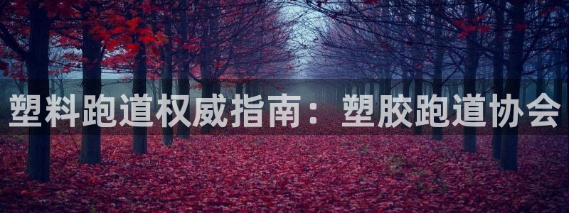 红足1一世：塑料跑道权威指南：塑胶跑道协会