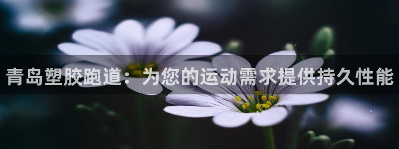 红足一1世开奖记录