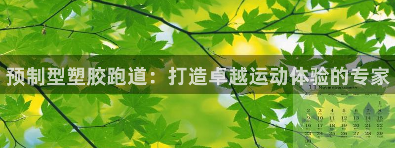 红足一1世66814新宝：预制型塑胶跑道：打造卓越运动体验的专家