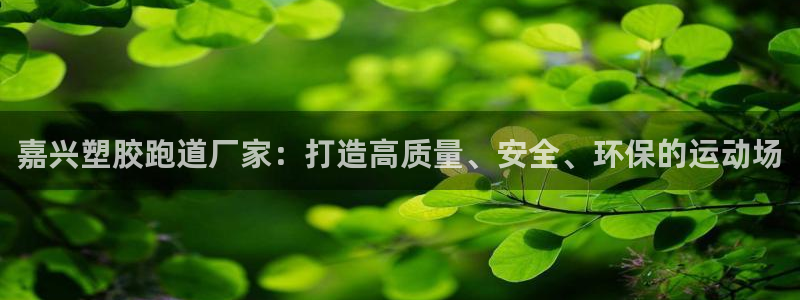 红足一1世皇冠：嘉兴塑胶跑道厂家：打造高质量、安全、环保的运动场