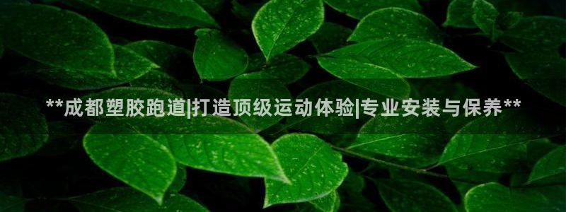 333814红·足一世比分