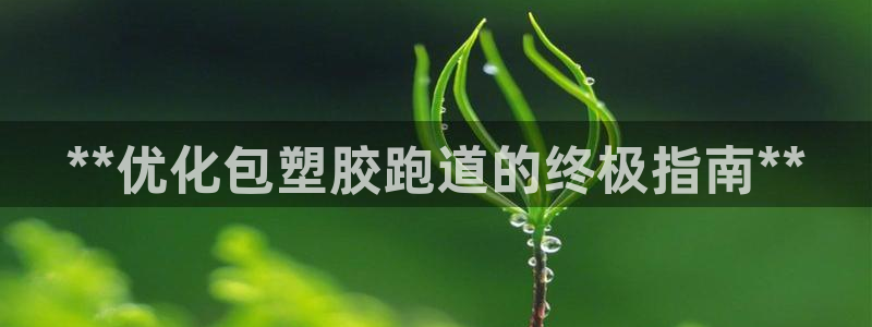 红足足球网