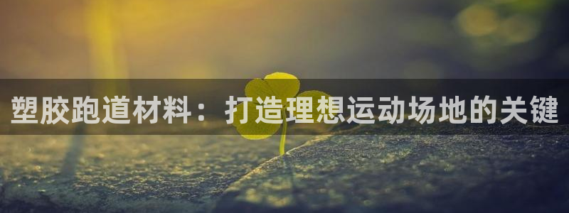 红足一比分网