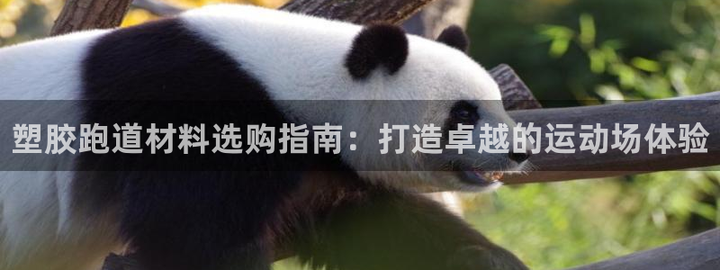 红足一1世比分球探：塑胶跑道材料选购指南：打造卓越的运动场体验