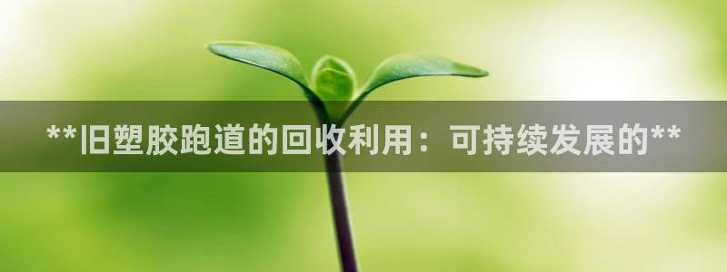 红足一1世比分：**旧塑胶跑道的回收利用：可持续发展的**