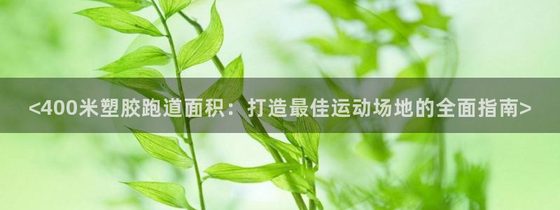 红足1世1站：<400米塑胶跑道面积：打造最佳运动场地的全面指南>