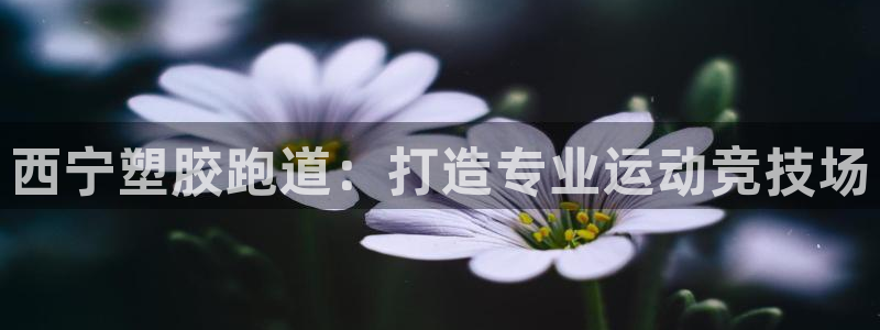 红足1世足球网址：西宁塑胶跑道：打造专业运动竞技场