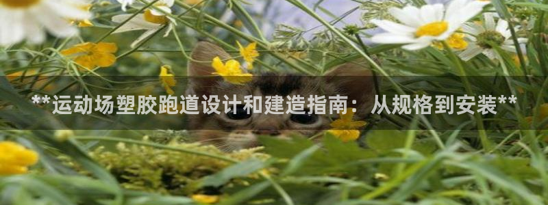 红足一1世开奖记录：**运动场塑胶跑道设计和建造指南：从规格到安装**