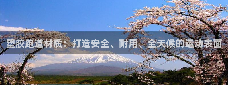 红足一1世官网足球推荐真人：塑胶跑道材质：打造安全、耐用、全天候的运动表面