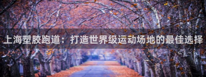 红足1世足球比分：上海塑胶跑道：打造世界级运动场地的最佳选择