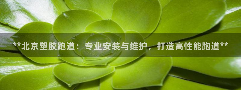 红足体育网：**北京塑胶跑道：专业安装与维护，打造高性能跑道**