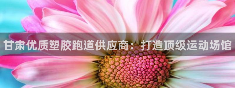 红足1世足球比分 localhost