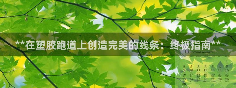红足1世官网：**在塑胶跑道上创造完美的线条：终极指南**