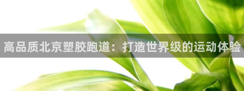 红足1世手机版下载