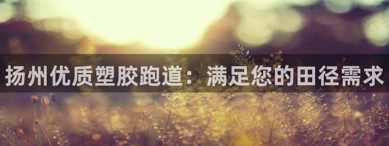 红足1一世红：扬州优质塑胶跑道：满足您的田径需求