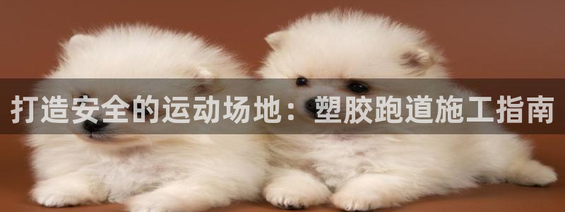 红足1一世足球手机：打造安全的运动场地：塑胶跑道施工指南