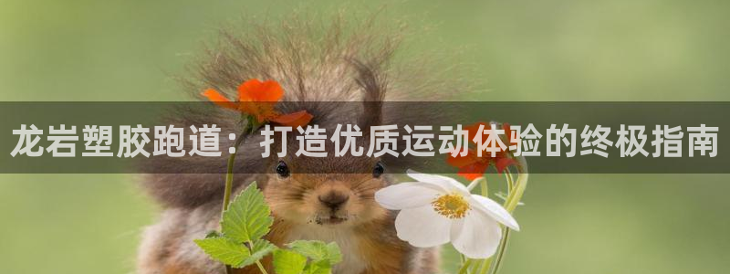 红足1一世