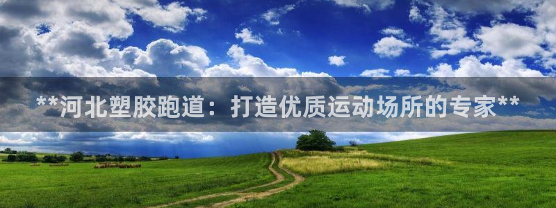 红足1世开奖预测：**河北塑胶跑道：打造优质运动场所的专家**