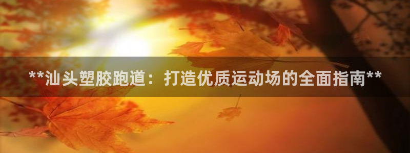 红足1世手机版下载：**汕头塑胶跑道：打造优质运动场的全面指南**