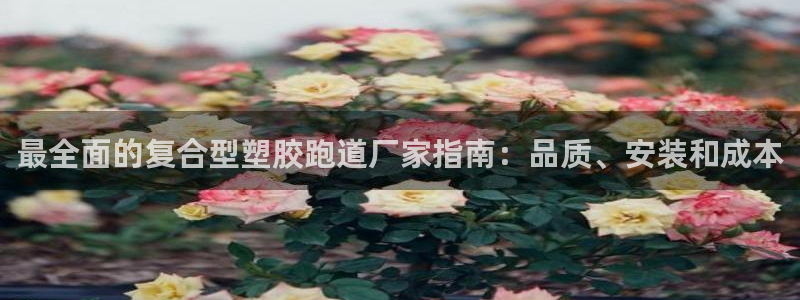 红足1世足球网址：最全面的复合型塑胶跑道厂家指南：品质、安装和成本