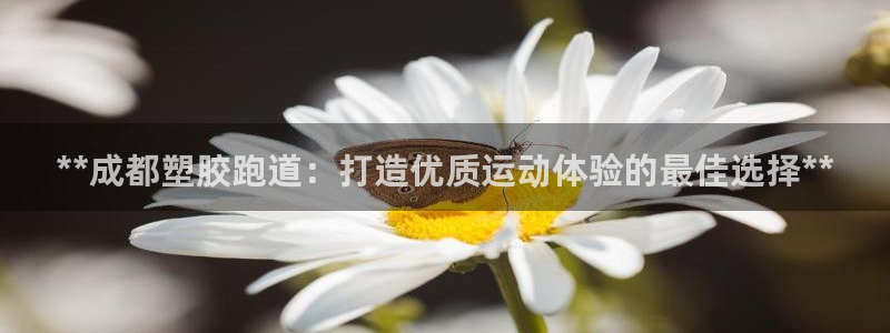 百度红足一1是干什么的：**成都塑胶跑道：打造优质运动体验的最佳选择**