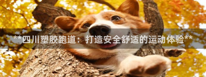 红姐现场直播开奖记录