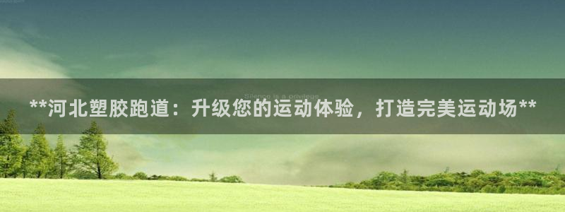 新2足球平台出租网站：**河北塑胶跑道：升级您的运动体验，打造完美运动场**