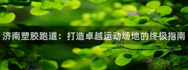 红足1世足球网址：济南塑胶跑道：打造卓越运动场地的终极指南