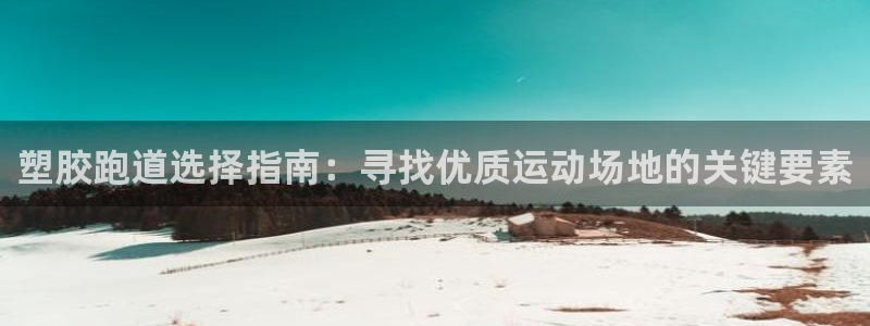 百度红足一1使用说明：塑胶跑道选择指南：寻找优质运动场地的关键要素