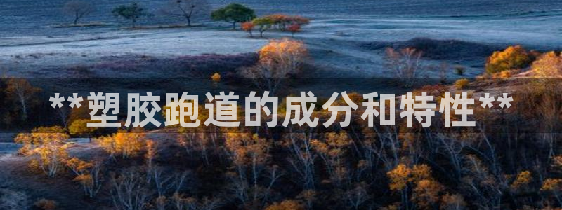 777814红·足一世比分篮球