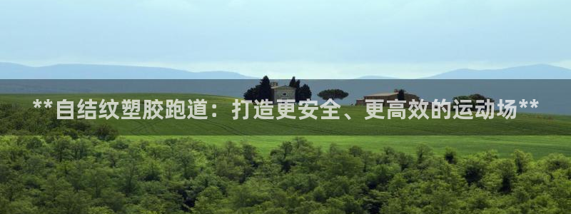百度红足一1是什么样子的