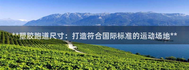 红足1世足球比分网址：**塑胶跑道尺寸：打造符合国际标准的运动场地**