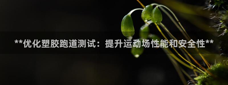 红足一丰