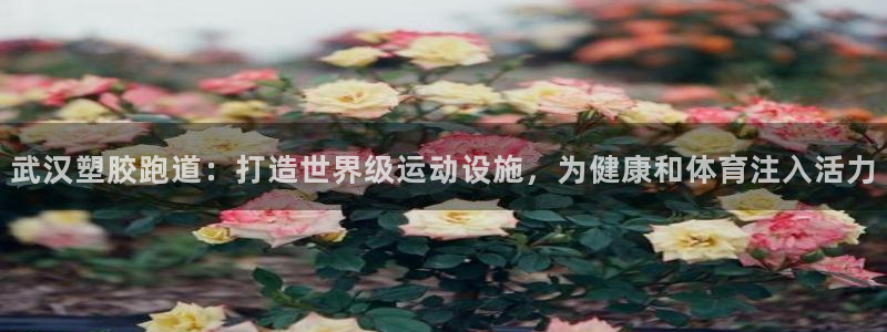 红足一1世比分球探：武汉塑胶跑道：打造世界级运动设施，为健康和体育注入活力
