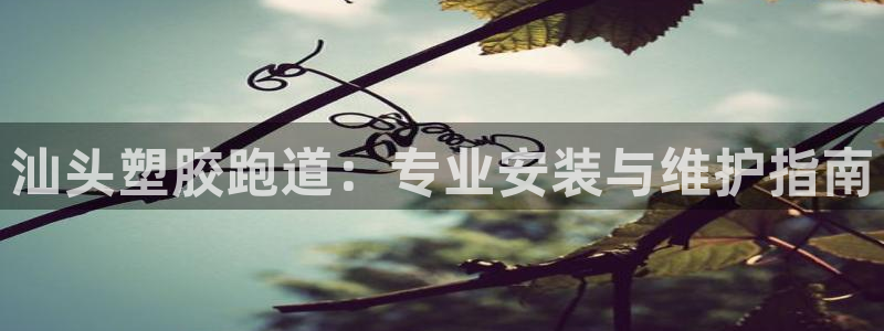 红足1世足球比分网址：汕头塑胶跑道：专业安装与维护指南
