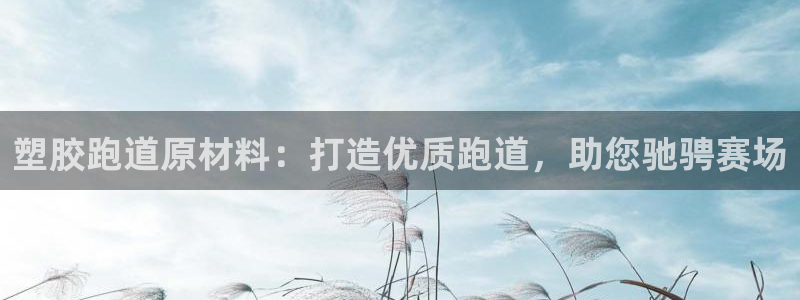 百度红足一1使用说明：塑胶跑道原材料：打造优质跑道，助您驰骋赛场